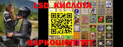 гидропоника Дубна