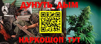 гидропоника Дубна